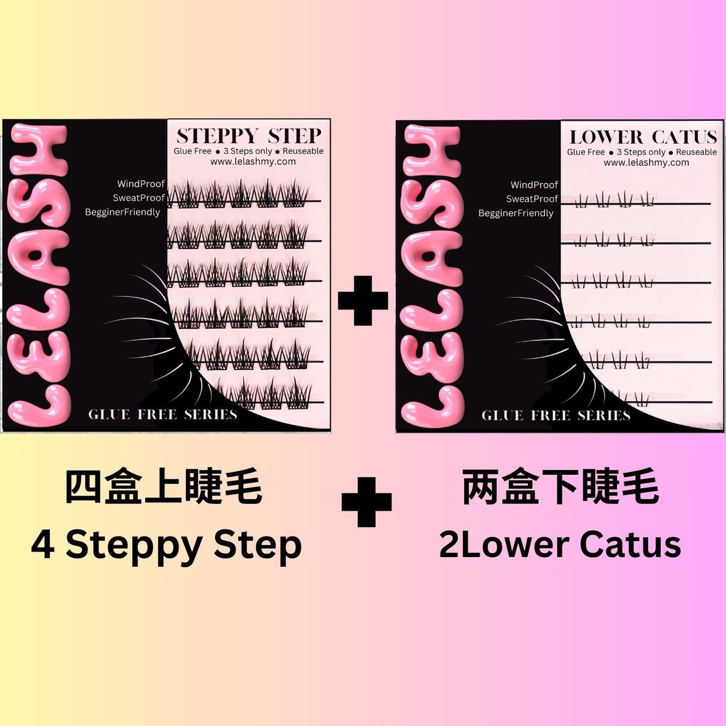 Lashes Combo Set 2（6 boxes of lashes）
