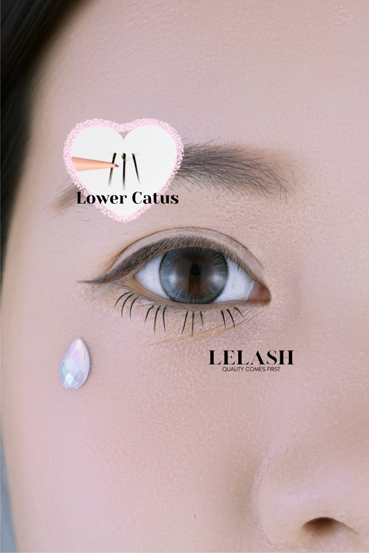 Lower Catus ( Lower Lashes ) - Lelash